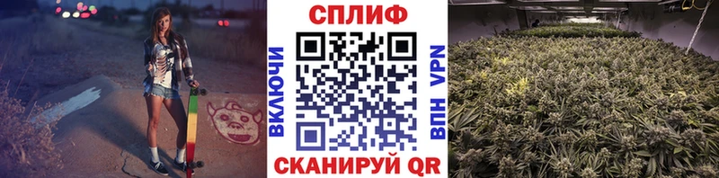 Что такое Вятские Поляны Галлюциногенные грибы A PVP Мефедрон Конопля Гашиш