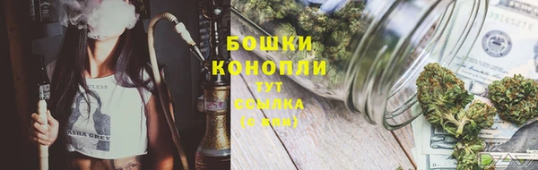 дживик Аркадак