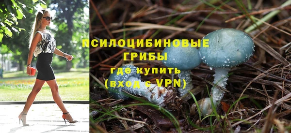 дживик Аркадак