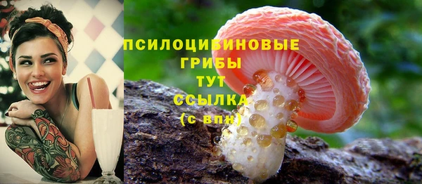 метадон Армянск