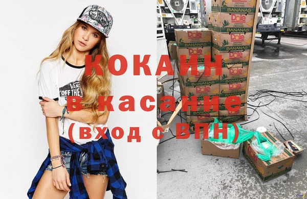 дживик Аркадак
