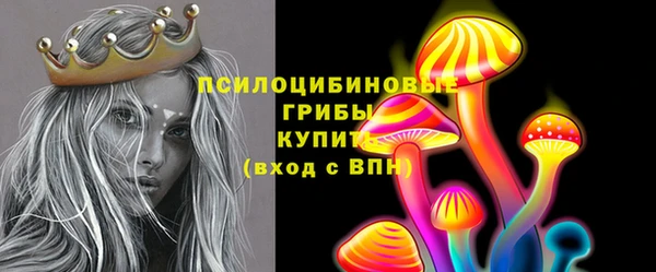 метадон Армянск
