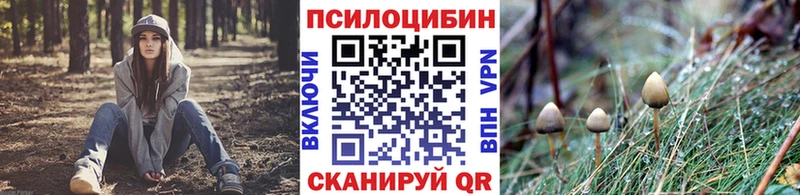 Галлюциногенные грибы мухоморы Вятские Поляны